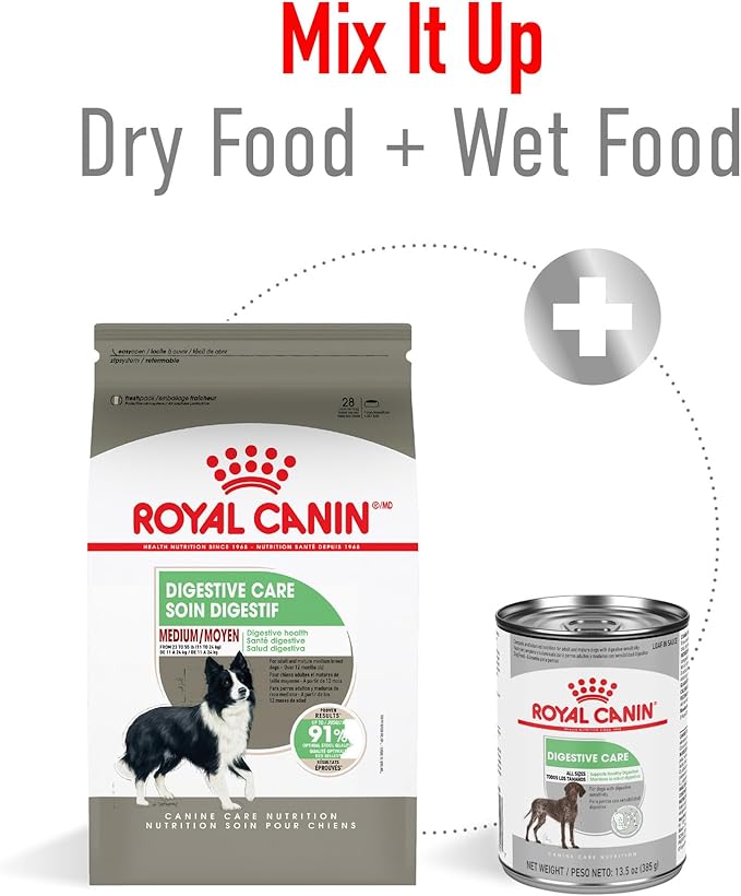 Royal Canin Medium Digestive Care Dry Dog Food, 17 lb bag