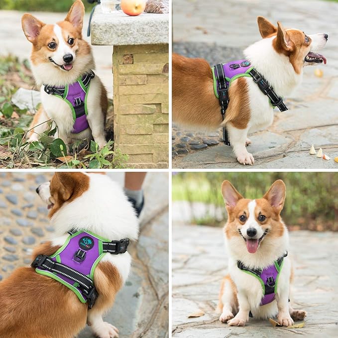 PHOEPET 2019 Upgraded No Pull Dog Harness, Reflective Adjustable Vest, with a Training Handle + 2 Metal Leash Hooks+ 3 Snap Buckles +4 Slide Buckles(L, Purple)