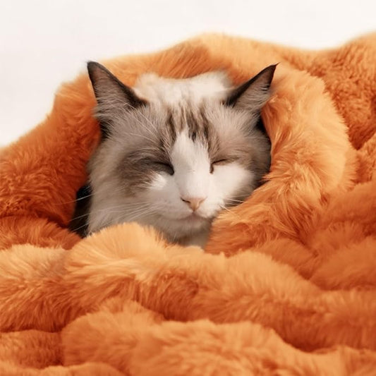 Cat Blanket for Indoor Cats Ultra Soft Plush Faux Fur Kitten Blankets Washable Reversible Pet Throw Protector for Couch Furniture 21"X 18" Orange