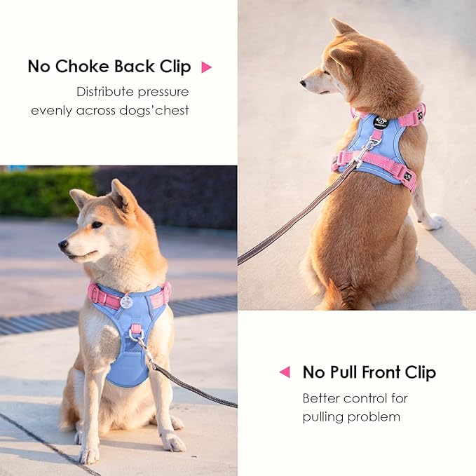 PHOEPET No Pull Dog Harness, Unique Colors Reflective Adjustable Dog Vest, with Soft Training Handle Metal Clips for Small Medium Large Dogs (Baby Blue Base & Pink Straps,S)