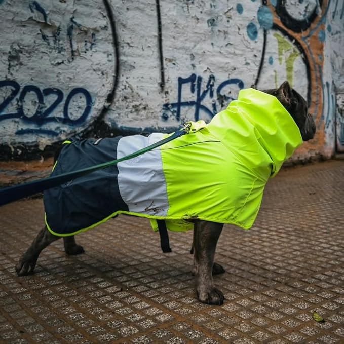 Spark Paws Dog Raincoat, Waterproof Windproof Rain Jacket, for Small Medium Large Extra Large Dogs, Reflective Breathable Full-Body Coverage Dry Suit - Neon White Navy Blue, 2XL