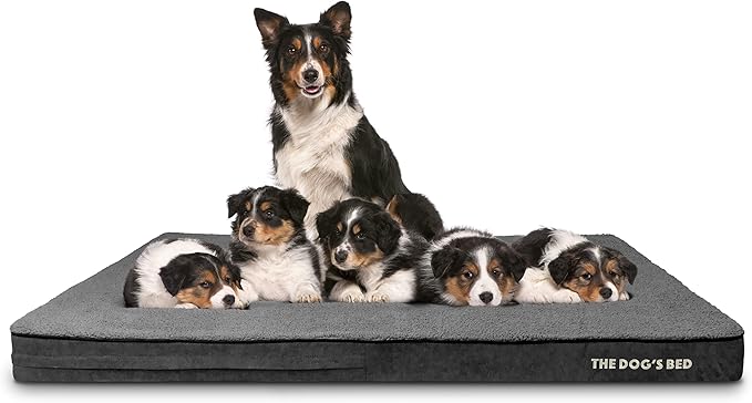 The Dog’s Bed Orthopedic Memory Foam Jumbo Dog Bed, XXXL Grey Plush, Pain Relief for Arthritis, Hip & Elbow Dysplasia, Post Surgery, Lameness, Supportive, Waterproof Washable Cover