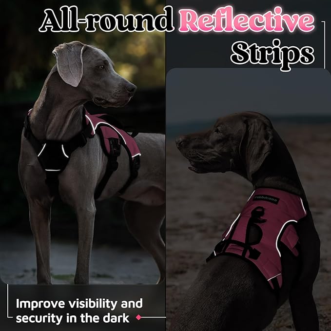 rabbitgoo Escape Proof Dog Harness Medium, Soft Padded Full Body Pet Harness, Reflective Adjustable No Pull Vest with Lift Handle and Leash Clip for Walking Hiking Training, Light Pink, M