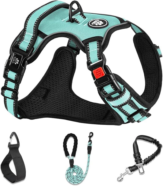 NESTROAD No Pull Dog Harness,Adjustable Oxford Dog Vest Harness with Leash,Reflective No-Choke Pet Harness with Easy Control Soft Handle for Small Dogs(Small,Turquoise)