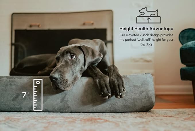 Barker Beds Orthopedic Dog Bed - 7" Pillow Top XL Size (52 x 36 x 11) - Luxury Washable Large Dog Bed with Headrest - Memory Foam Mattress for Big Dogs (Khaki)