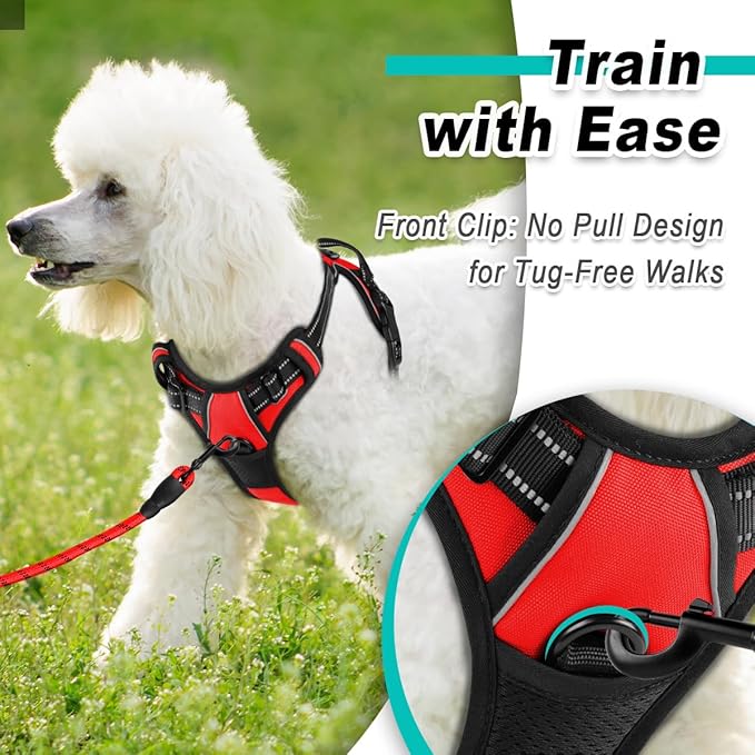 BARKBAY Dog Harness No Pull for Small Dogs - Adjustable, Reflective, Comfortable, No Choke, Heavy-Duty - Perfect for Outdoor Training, Walking, and Hiking - Strong & Durable - XS & Red