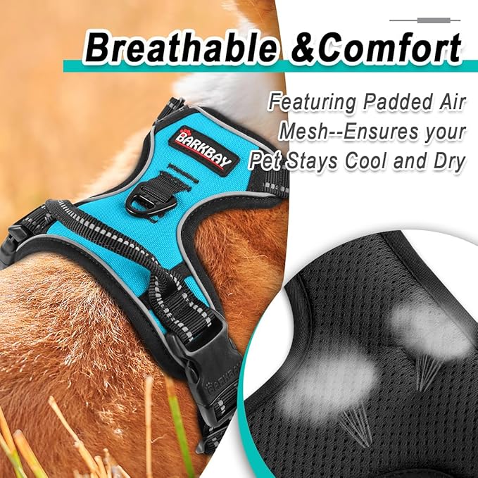 BARKBAY Dog Harness No Pull for Small Dogs - Adjustable, Reflective, Comfortable, No Choke, Heavy-Duty - Perfect for Outdoor Training, Walking, and Hiking - Strong & Durable - XS & Blue