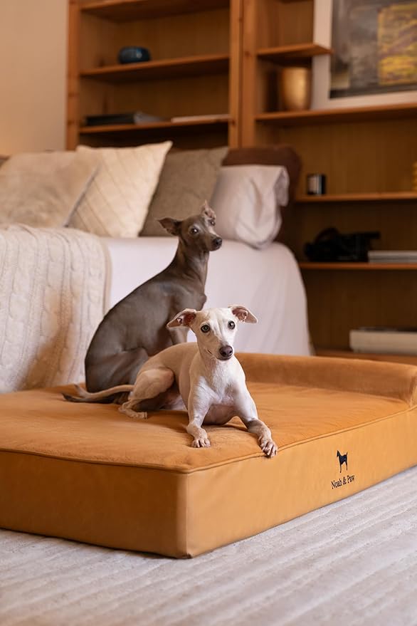 NOAH & PAW Large Dog Bed, 35x25x8.7 Inch, Orthopedic Dog Beds, Eggshell Memory Foam Infused with Cooling Gel, Waterproof, Machine Washable, Includes Inner Cover (Faux Leather)