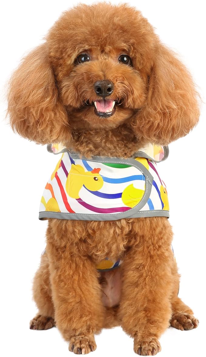 Dog Raincoat for Small Dogs Puppies Waterproof Hooded Rain Jacket with Reflective Strips Leash Hole & Poncho Adjustable Fit (Rainbow,S)