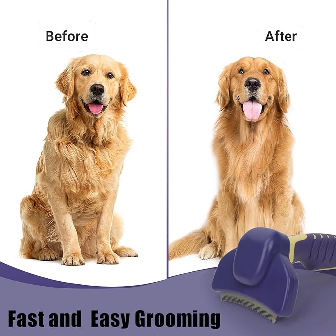 HOP Dog Deshedding Brush for Short Haired Dogs Cats Pets Professional Deshedding Tool Anti-Slip Handle & Detachable Head Highly Effective Deshedder Grooming Home of Paws