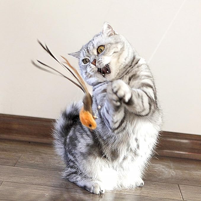 Interactive Cat Wand Toy Set β 2 Retractable Wands (38" & 50") with 11 Refills Attachments β Feather Toys, Plush Bird, Worms, Insect & Swallow β Cat Teaser Toys for Indoor Cats & Kittens