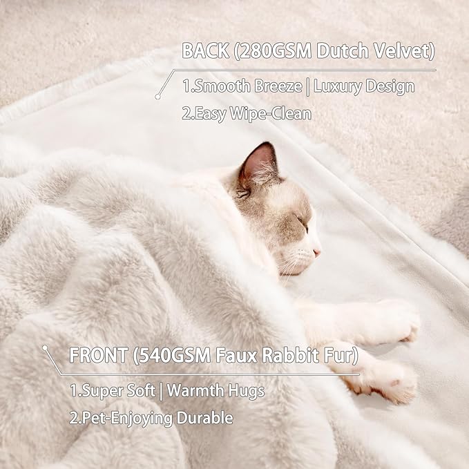 Cat Blanket for Indoor Cats Ultra Soft Plush Faux Fur Kitten Blankets Machine Washable Reversible Pet Throw Protector for Couch Furniture 21"X 18" White