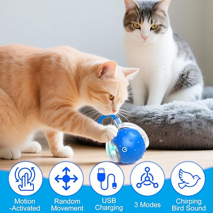 2pcs Tiny Fetch Dog Toy, Tinyfetch Interactive Dog Cat Toys Balls with Birdsong, 360° Smart Automatic Rolling Dog Ball Toy with Rope for Pets Indoor & Outdoor Play (Blue+Red)