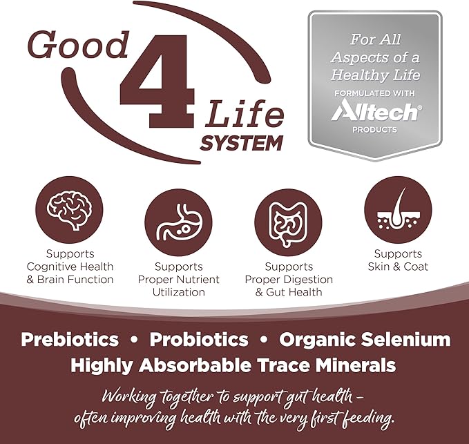 NutriSource Prairie Select Grain Free Dry Dog Food, Quail and Duck, 12LB