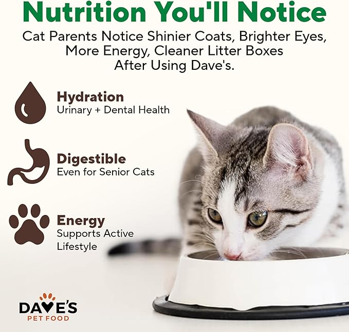 Dave's Pet Food Grain Free Wet Canned Cat Food (Turkey), Made in USA Naturally Healthy, Added Vitamins & Minerals, Gluten-Free, 12.5 oz Cans (12 Pack)