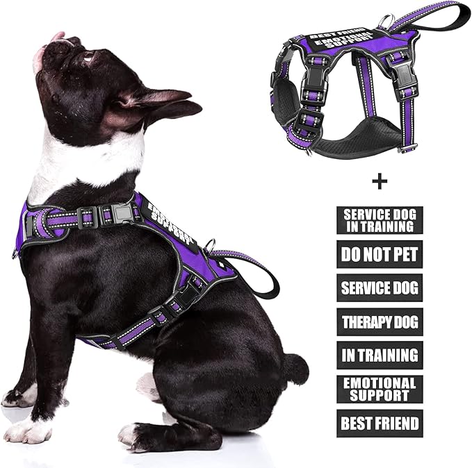 WINSEE Service Dog Vest No Pull Dog Harness with 7 Dog Patches, Reflective Pet Harness with Durable Soft Padded Handle for Puppies, Small, Medium, Large, and Extra-Large Dogs