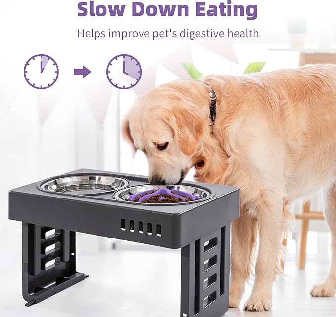 Jaoul Slow Feeder Dog Bowls Insert, Puzzle Slow Feeder Insert with 21 Octopus Suction Cups for Small Breed Dog Food Bowls (4 inch, Purple)