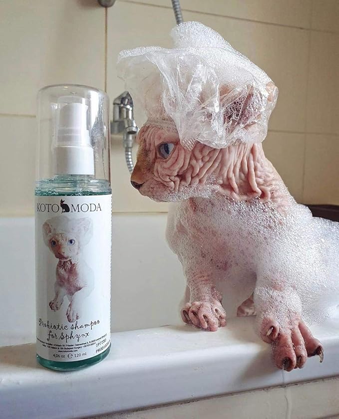 Probiotic Shampoo for Sphynx Cats (4.22)