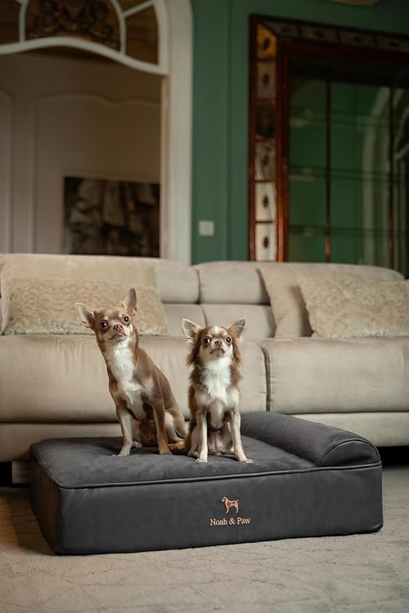 NOAH & PAW Dog Bed, 28x23x7.5 Inch, Orthopedic Dog Beds for Medium Size Pets, Eggshell Memory Foam Infused with Cooling Gel, Waterproof, Machine Washable, Includes Inner Cover (Faux Leather)