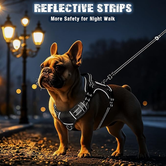 Tactical Dog Harness and Leash Set Small Sized Dog,Heavy Duty No Pull Service Dog Vest and 10 Patches with Dog Seat Belt,Reflective Adjustable Pet Harness for Training Walking Hiking Black S