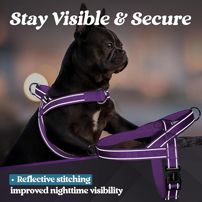 rabbitgoo Dog Harness No Pull, Quick Fit for Small Dogs with Soft Padded Handle, Chest Adjustable Reflective Pet Vest, No Choke Escape Proof for Walking Training, Purple S