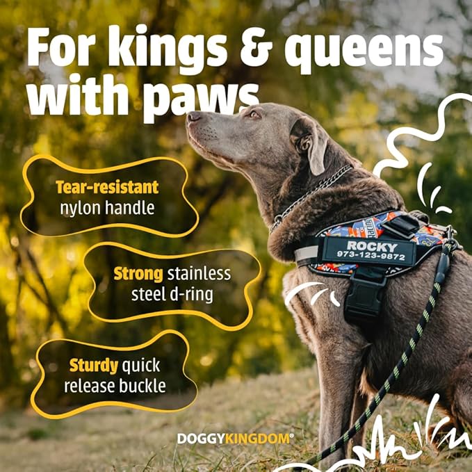 Personalized No-Pull Dog Harness with Name Patch, Adjustable, Reflective, Padded, Heavy Duty Pet Vest to Prevent Tugging, Pulling, or Choking, Training and Walking, Camouflage Pink, 2XL