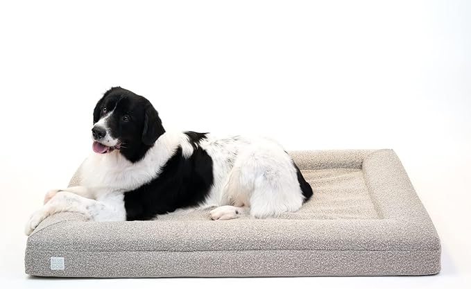 Luxury Boucle Orthopedic Memory Foam Dog Bed with Waterproof Liner and Machine Washable Cover with YKK Zippers (X-Large, 61" L x 44" W x 7" Th, Sand)