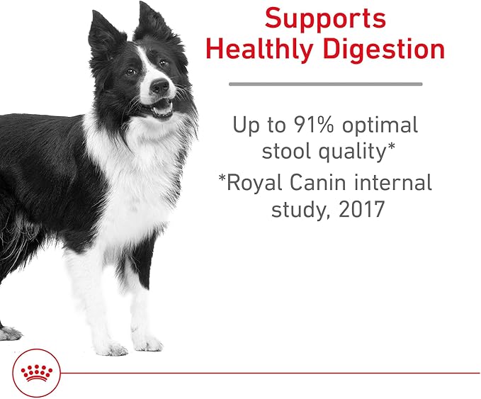 Royal Canin Medium Digestive Care Dry Dog Food, 17 lb bag