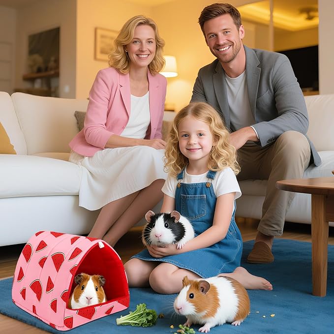 UPINS 2 Pack Guinea Pig Bed, Guinea Pig Hideout Washable Small Animal House Cage Accessories for Dwarf Rabbits Chinchillas Hamsters Hedgehogs Ferrets Bearded Dragons and Rats(9.84 x 9.84 inches)