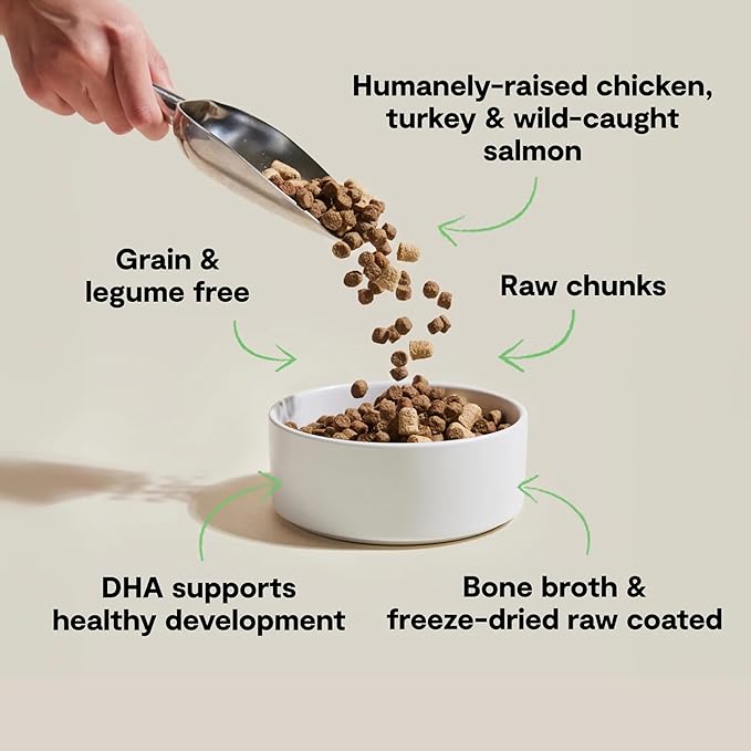 Open Farm, RawMix Dry Cat Food, Protein Packed Kibble Coated in Bone Broth with Freeze Dried Raw Chunks, Formulated for Kittens, Chicken with Turkey & Wild-Caugh Salmon Recipe for Kittens, 8lb Bag