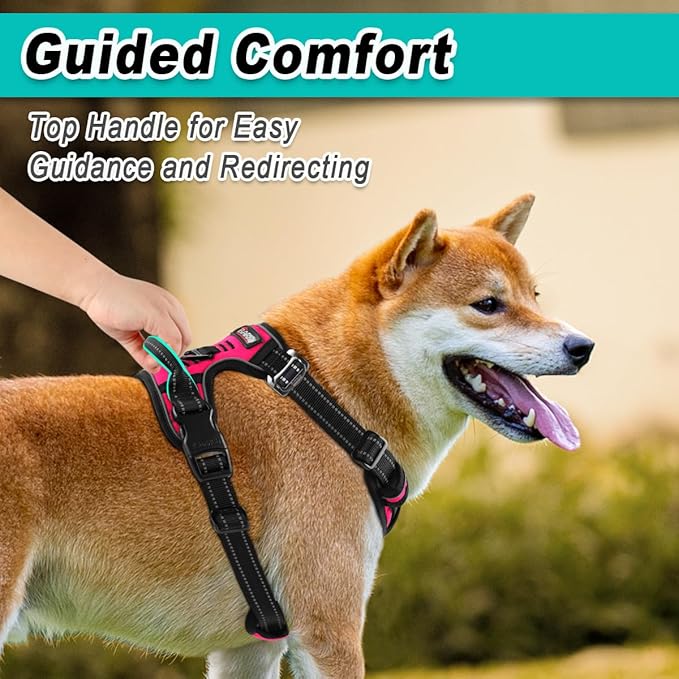 BARKBAY Dog Harness No Pull 3 Buckles for Medium Dogs - Adjustable, Reflective, Comfortable, No Choke, Heavy-Duty - Perfect for Outdoor Training, Walking, and Hiking - Strong & Durable - M & Pink