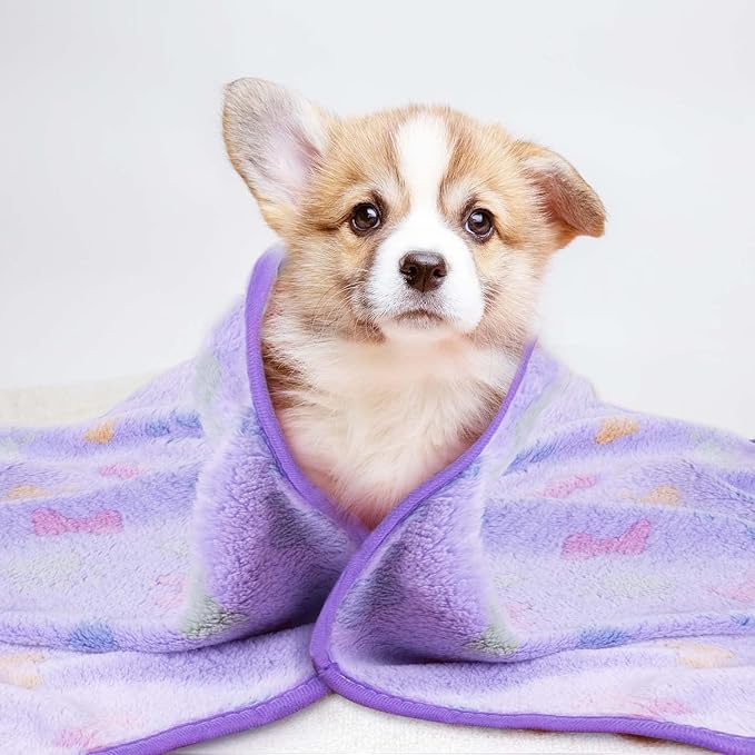 LeapSheep Pet Blankets for Dogs Cats - 3Pack Bone Pattern Super Soft Fluffy Dog Blankets for Small Medium Large Doggy Kitten (Bone, Small)