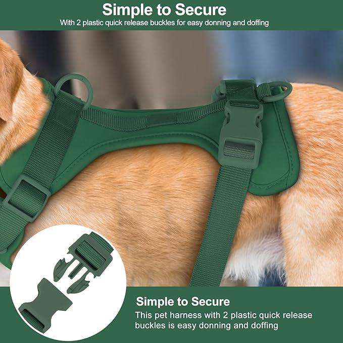 No Pull Lightweight Dog Harness: Adjustable Durable Breathable Mesh Pet Vest Harness with Soft & Comfortable Cushion, for Small Medium Large Dogs (S, Pine Green)