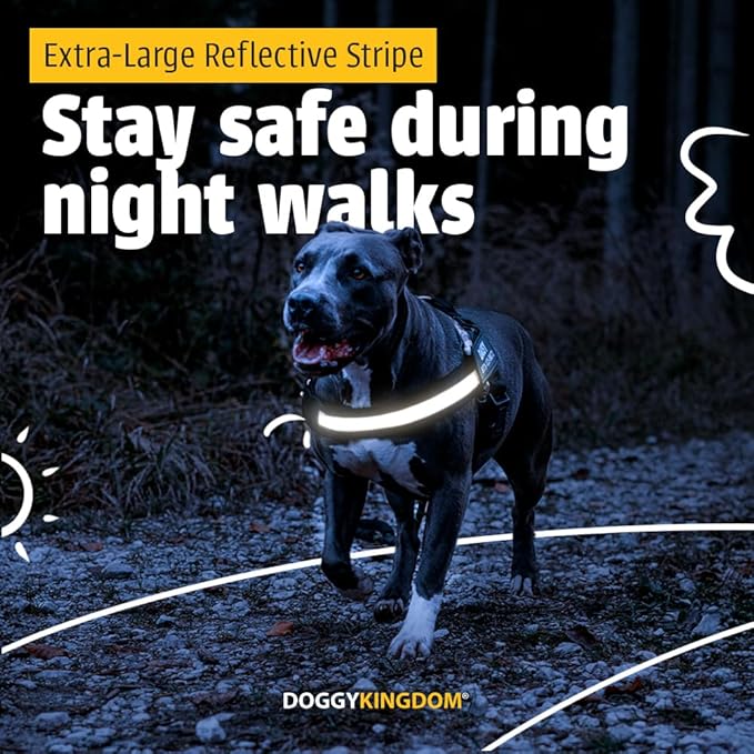 Personalized No-Pull Dog Harness with Name Patch, Adjustable, Reflective, Padded, Heavy Duty Pet Vest to Prevent Tugging, Pulling, or Choking, Training and Walking, Rose Red, S