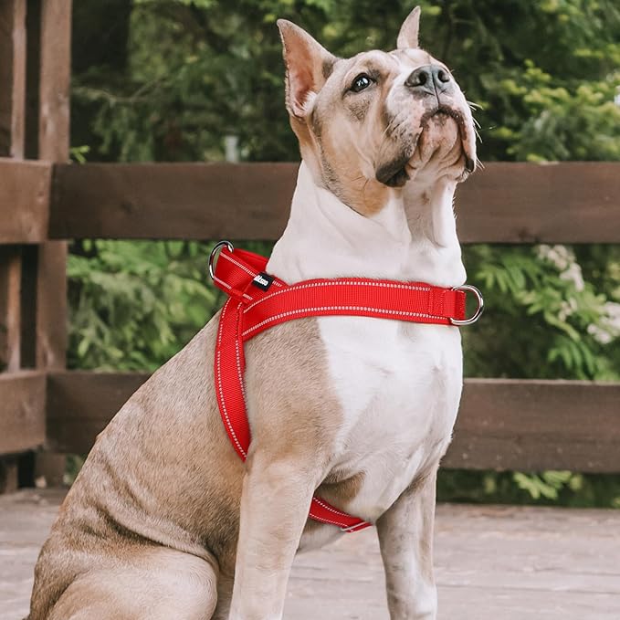 rabbitgoo Dog Harness No Pull, Quick Fit for Large Dogs with Soft Padded Handle, Chest Adjustable Reflective Pet Vest, No Choke Escape Proof for Walking Training, Red L
