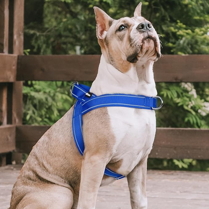 rabbitgoo Dog Harness No Pull, Quick Fit for Large Dogs with Soft Padded Handle, Chest Adjustable Reflective Pet Vest, No Choke Escape Proof for Walking Training, Blue L