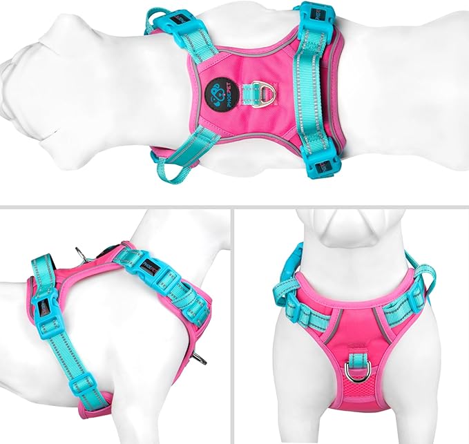 PHOEPET No Pull Dog Harness, Unique Colors Reflective Adjustable Dog Vest, with Soft Training Handle Metal Clips for Small Medium Large Dogs (Pink Base & Green Straps,S)
