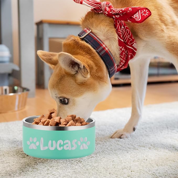 Custom Personalized Dog & Cat Bowls - Stainless Steel Non-Slip Water & Food Dishes - Easy to Clean, Dishwasher Safe - Small, Medium, Large Sizes (Green)
