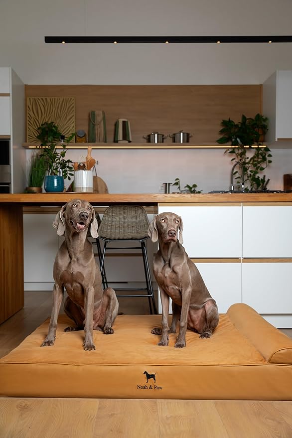 NOAH & PAW Giant Dog Bed XXL 55x45x9.5 Inch, Orthopedic Dog Beds, Eggshell Memory Foam Infused with Cooling Gel, Waterproof, Machine Washable, Includes Inner Cover (Faux Leather)