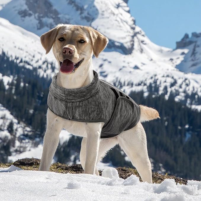 Queenmore Medium Dog Sweaters, Soft Fleece Vest Pullover Dog Jacket with Leash Hole, Warm Winter Dogs Clothes Cold Weather Doggy Dachshund Sweater for Medium Dogs Cats Boy or Girl (Cationic Gray, M)