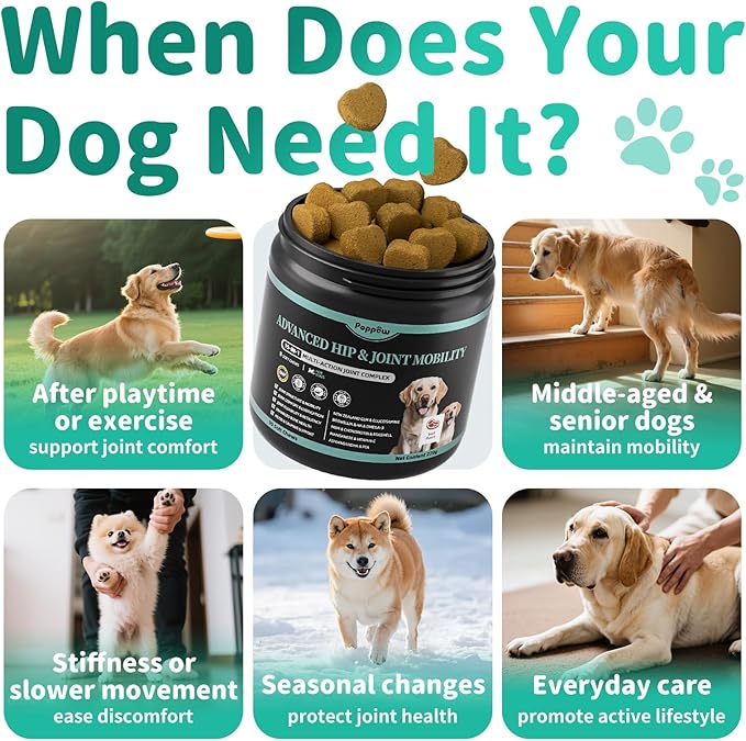 Dog Hip and Joint Supplement, 15-in-1 Advanced Glucosamine for Dogs with Chondroitin, MSM, New Zealand GLM, Pea, Omega 3 - Beef Flavor - 90 Soft Chews, Fits All Breeds and Sizes