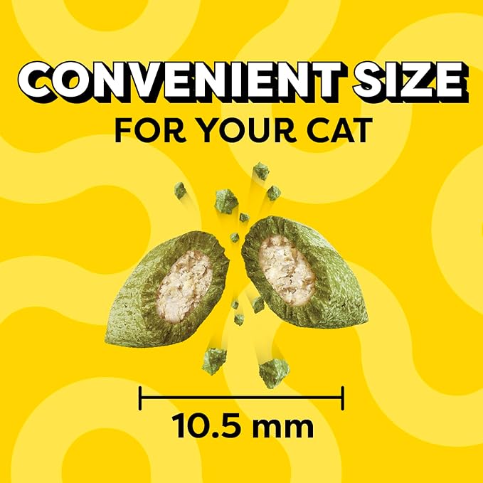 Temptations Classic Crunchy and Soft Cat Treats Blissful Catnip Flavor, 16 oz. Tub