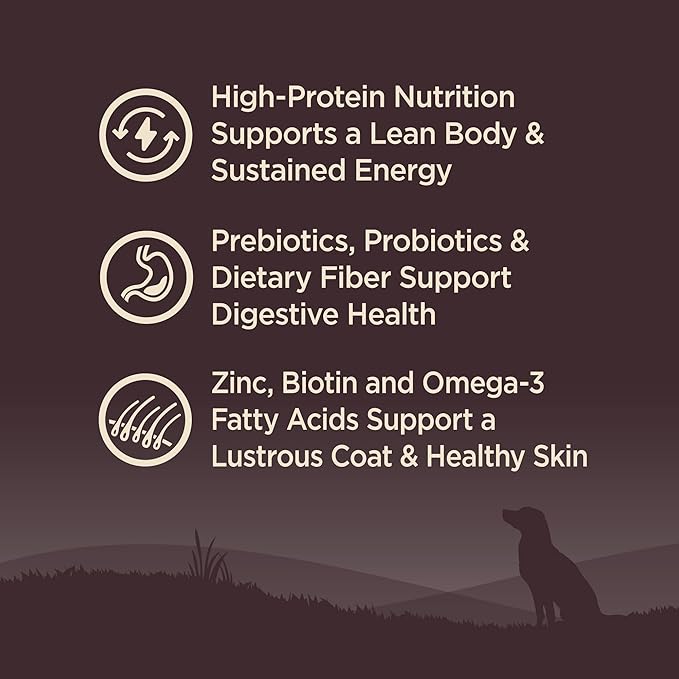 Wellness CORE Grain-Free High-Protein Dry Dog Food, Natural Ingredients, Made in USA with Real Meat, All Breeds, For Adult Dogs (Original Turkey & Chicken, 12-Pound Bag)