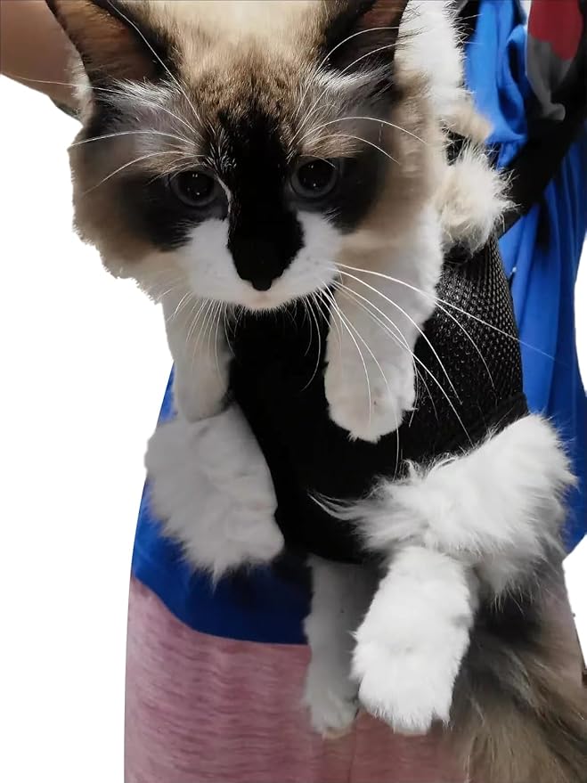 Pet Carrier Backpack - Adjustable Pet Front Cat Dog Carrier Backpack Travel Bag,Legs Out,Easy-Fit for Traveling Hiking Camping for Small Medium Dogs (Red, Medium)