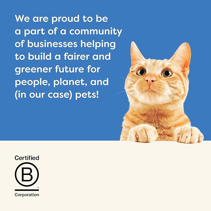 Applaws Natural Wet Canned Cat Food, Limited and Natural Ingredients, High Protein with No Artificial Additives, Tuna Fillet & Salmon in Broth (24 x 5.5oz Cans)