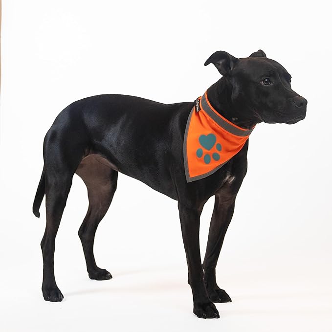 Bandana for Dogs. Blaze Orange Scarf with Reflective Collar is a Perfect Pet Bandana for Girl and Boy Dogs. Enhance Your Dog Walking Accessories with Our High-Visibility Adjustable Dog Handkerchief