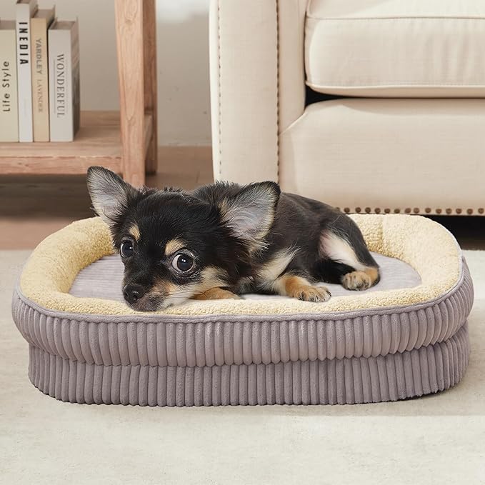 Orthopedic Dog Bed for Puppy,Extra Small Dogs Breeds,Oval Cat Bed,High Density Egg Crate Foam Dog Sofa Beds,Pet Couch Bed with Four Sided Bolster,Removable Washable Cover&Non-Slip Bottom