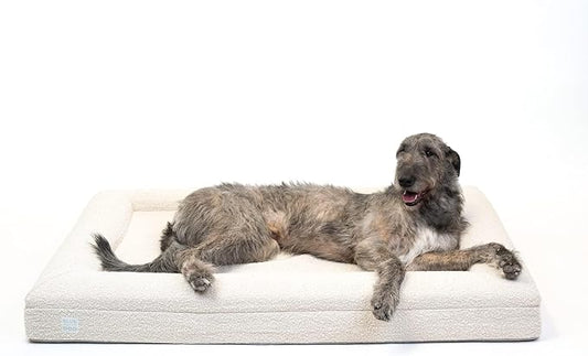 Luxury Boucle Orthopedic Memory Foam Dog Bed with Waterproof Liner and Machine Washable Cover with YKK Zippers (X-Large, 61" L x 44" W x 7" Th, Cloud)