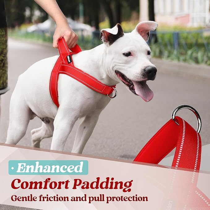 rabbitgoo Dog Harness No Pull, Quick Fit for Small Dogs with Soft Padded Handle, Chest Adjustable Reflective Pet Vest, No Choke Escape Proof for Walking Training, Red M