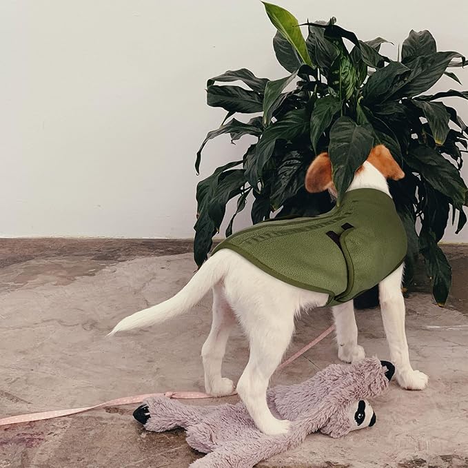 Queenmore Small Dog Sweaters, Soft Fleece Vest Pullover Dog Jacket with Leash Hole, Warm Winter Dogs Clothes Cold Weather Doggy Dachshund Sweater for Small Doggy Cats Boy or Girl (Army Green, S)